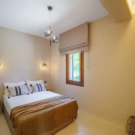 Holly Tree - Pelion *