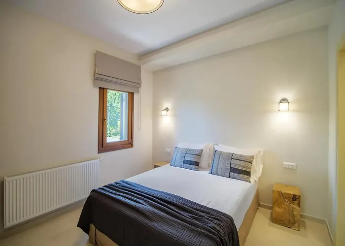 Holly Tree - Pelion *